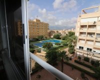 Second hand - Apartment / Flat - Torrevieja - Torreblanca