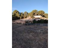 Second hand - Finca - Orihuela Costa - La Zenia