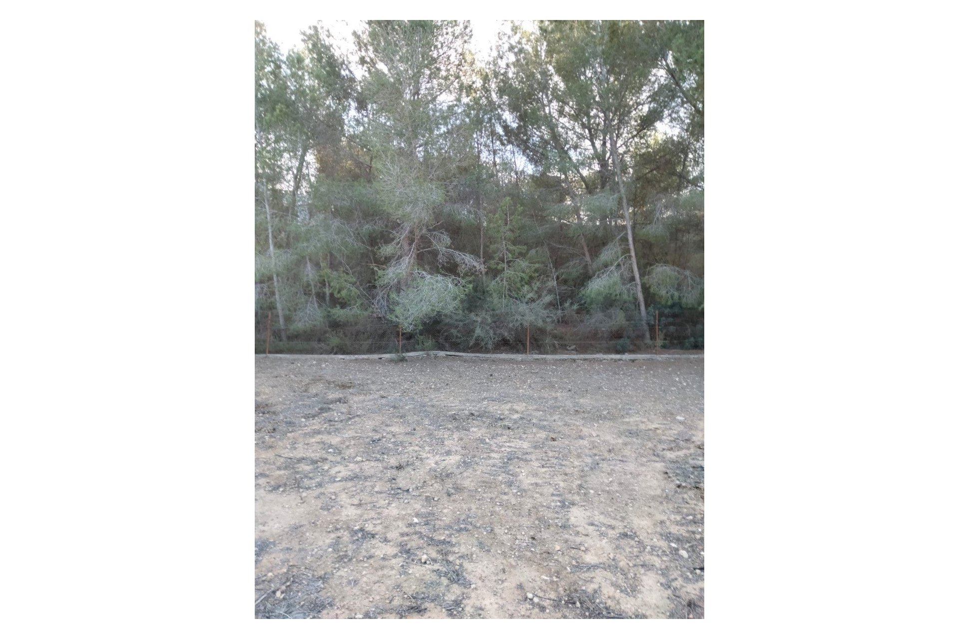 Second hand - Finca - Orihuela Costa - La Zenia