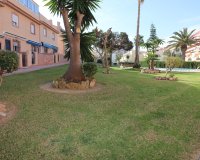 Second hand - Townhouse - Torrevieja - Torreblanca