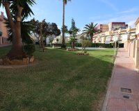 Segunda mano - Bungalow - Torrevieja - Torreblanca