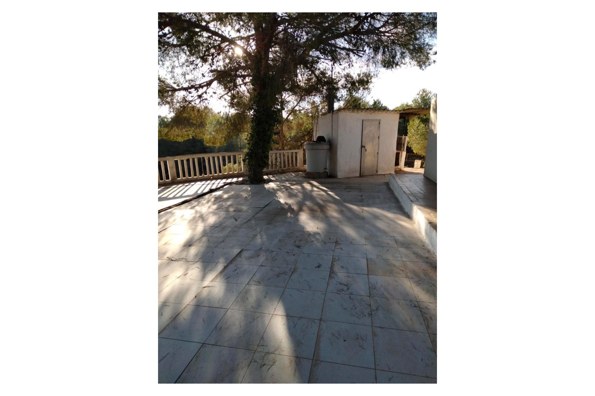 Segunda mano - Finca - Orihuela Costa - La Zénia