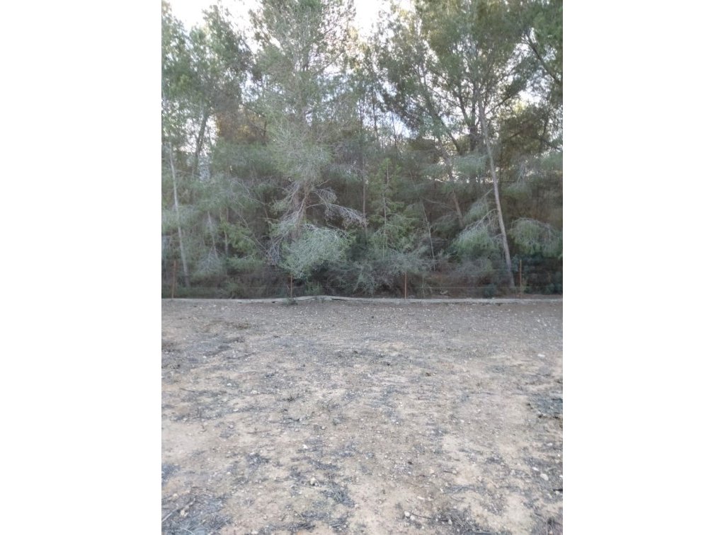 Segunda mano - Finca - Orihuela Costa - La Zénia