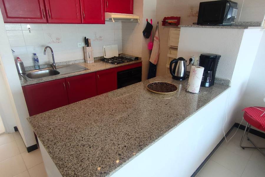 Segunda mano - Apartamento / Piso - Torrevieja - Torreblanca